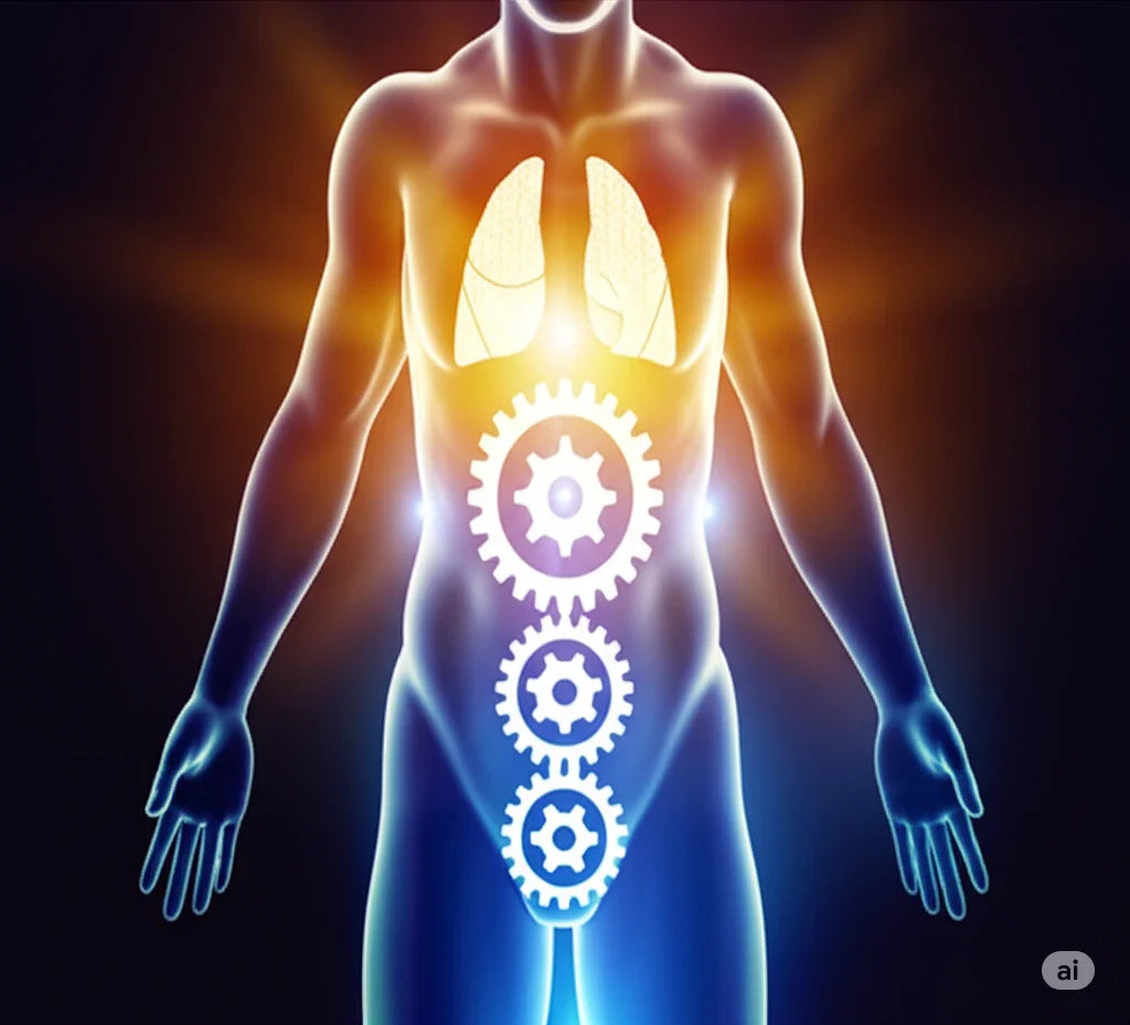 The Maca and Weight Loss Connection: Separating Fact from Fiction