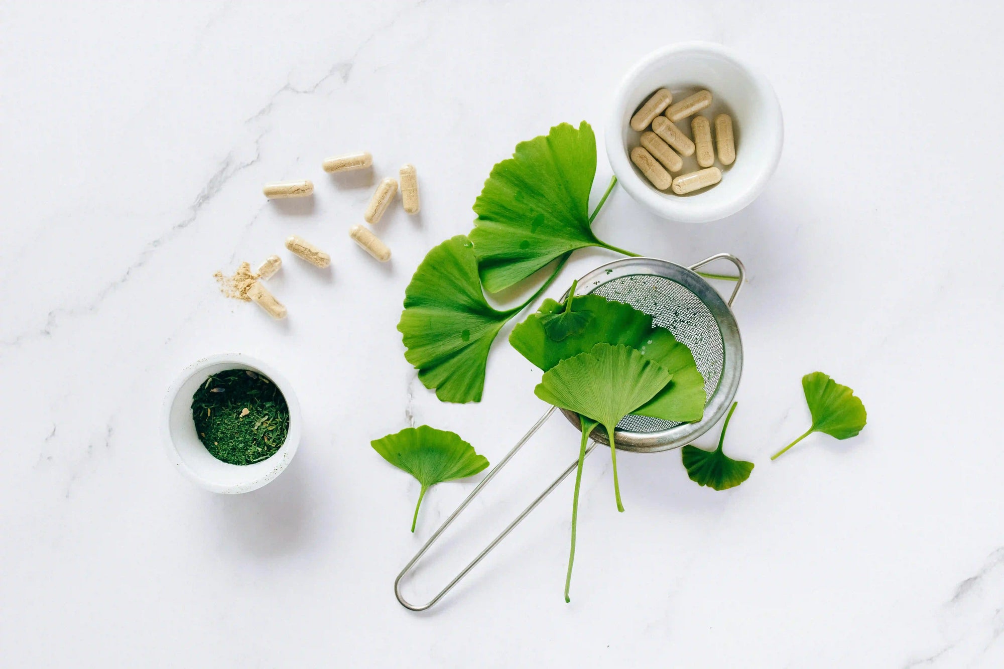 Ginkgo Biloba for Memory and Focus What Studies Show