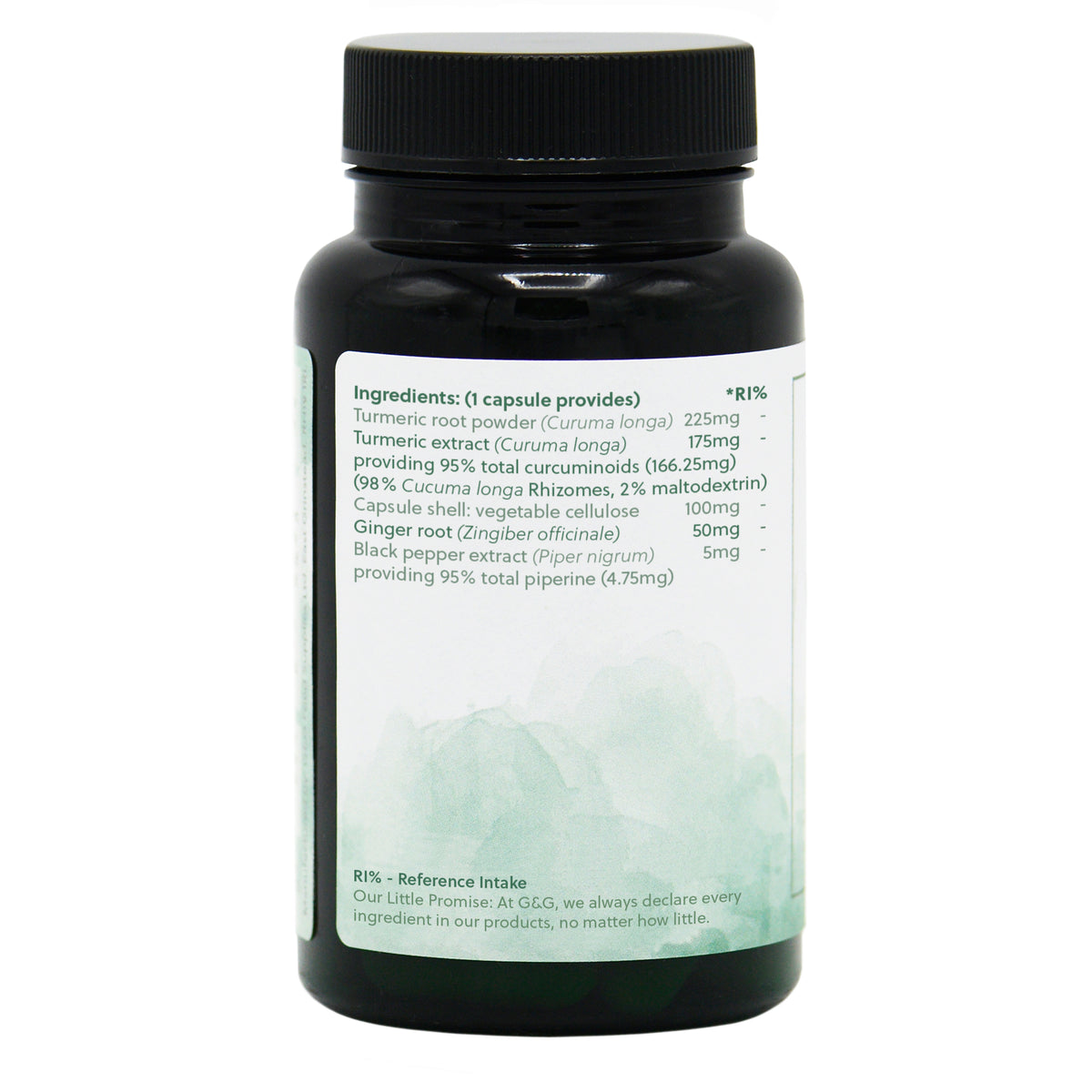 Turmeric & Curcumin - 60 vegan capsules