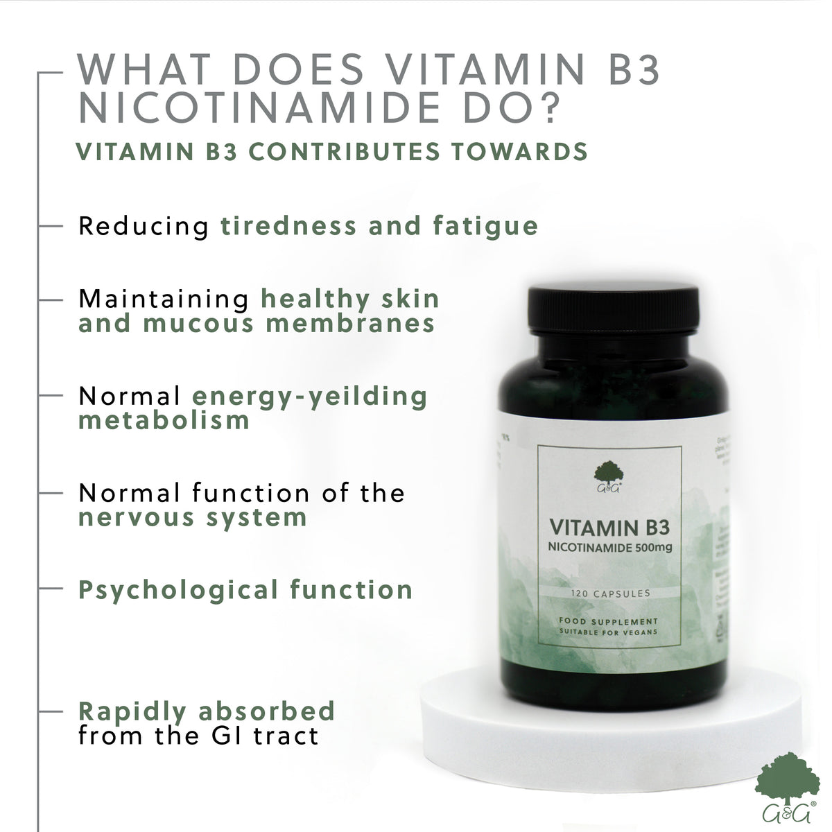 Vitamin B3 Nicotinamide 500mg - 120 vegan capsules