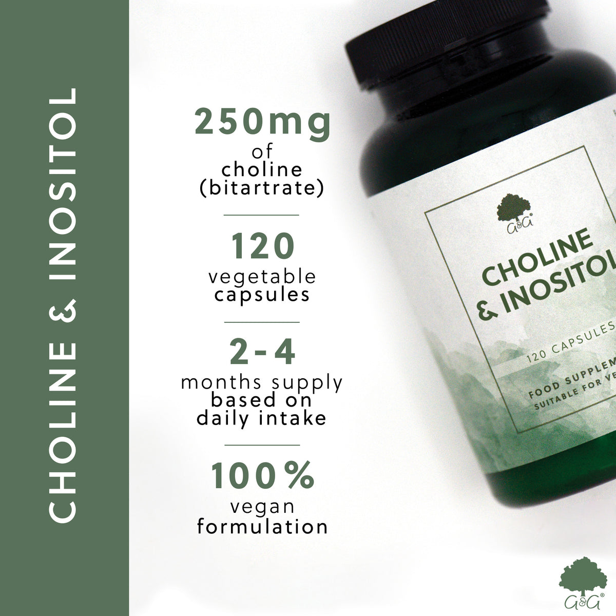 Choline & Inositol  - 120 Vegan Capsules