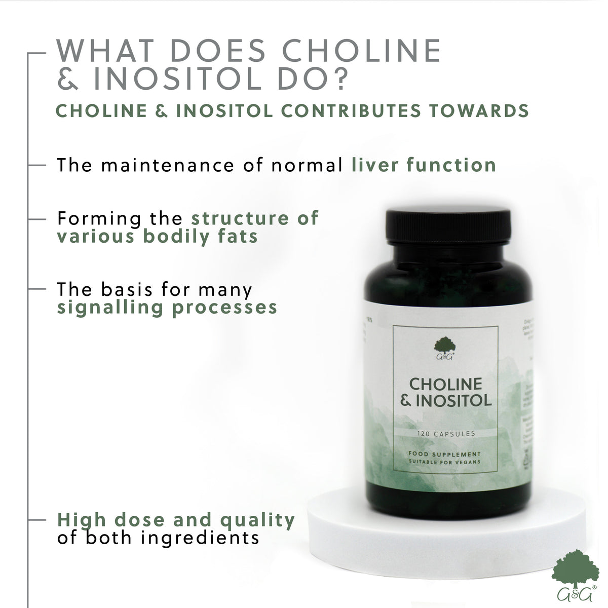 Choline & Inositol  - 120 Vegan Capsules