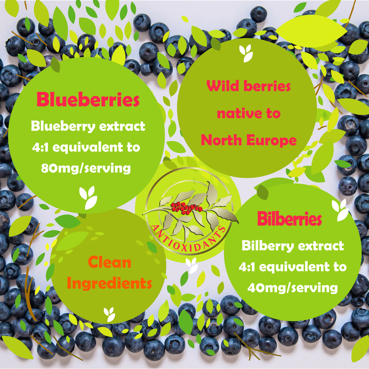 blueberries-final-Apple-Cider-Vinegar